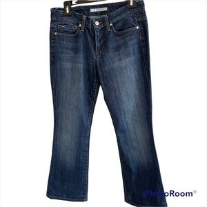 Joe’s Rocker Flare‎ Raven Wash Jeans 28W 29L